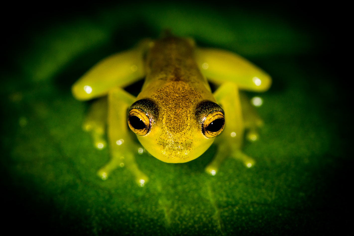 Volunteer work in the rain forest of Costa Rica